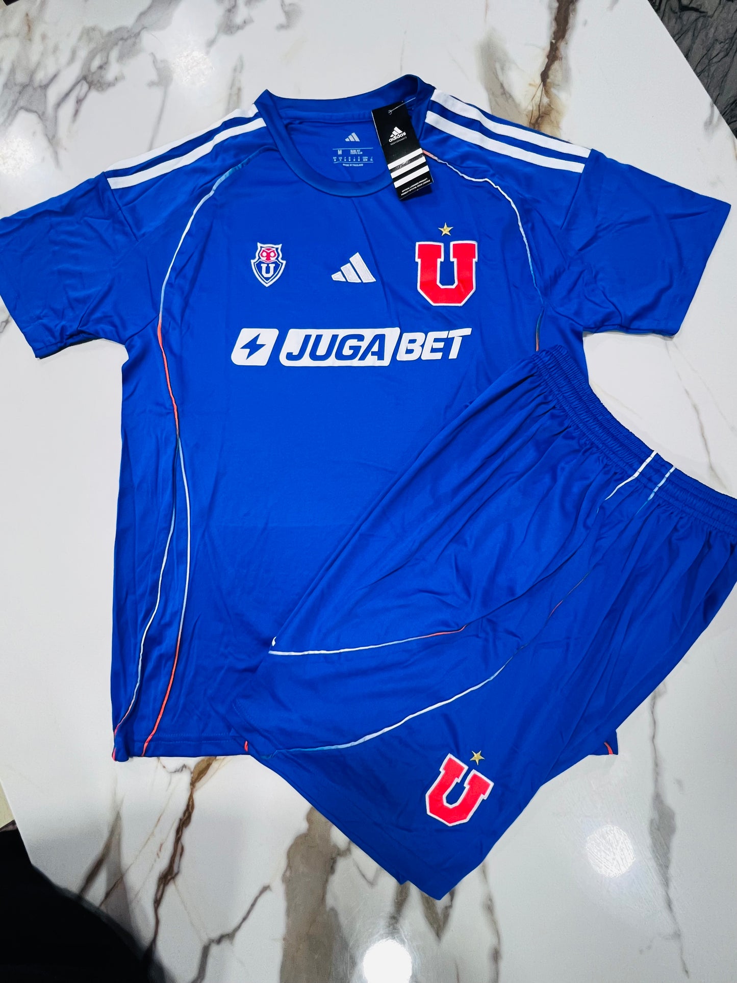CONJUNTO UNIVERSIDAD DE CHILE