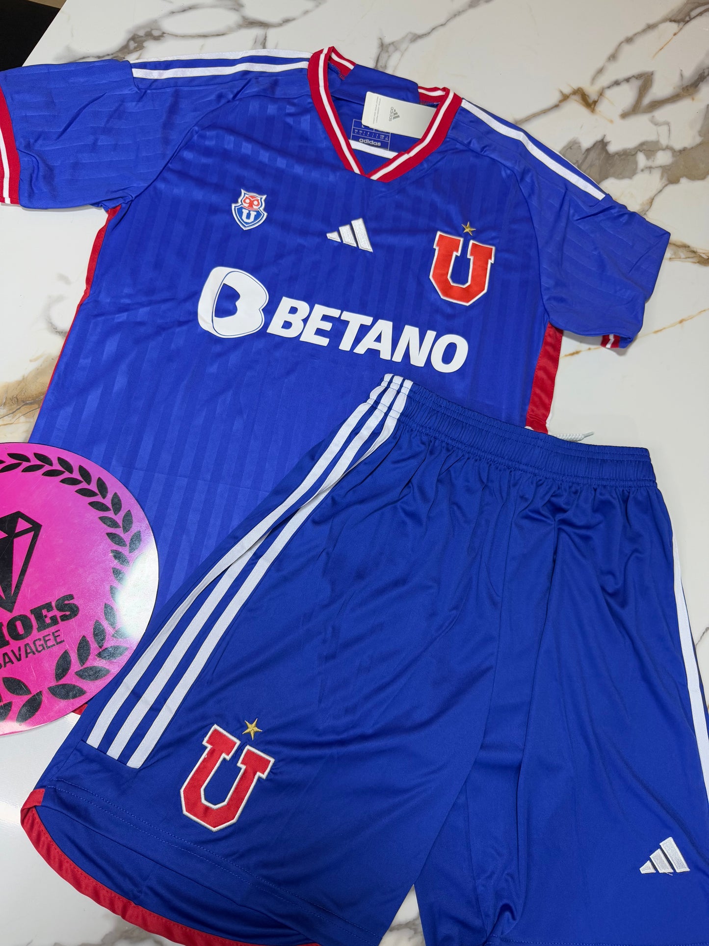 CONJUNTO UNIVERSIDAD DE CHILE