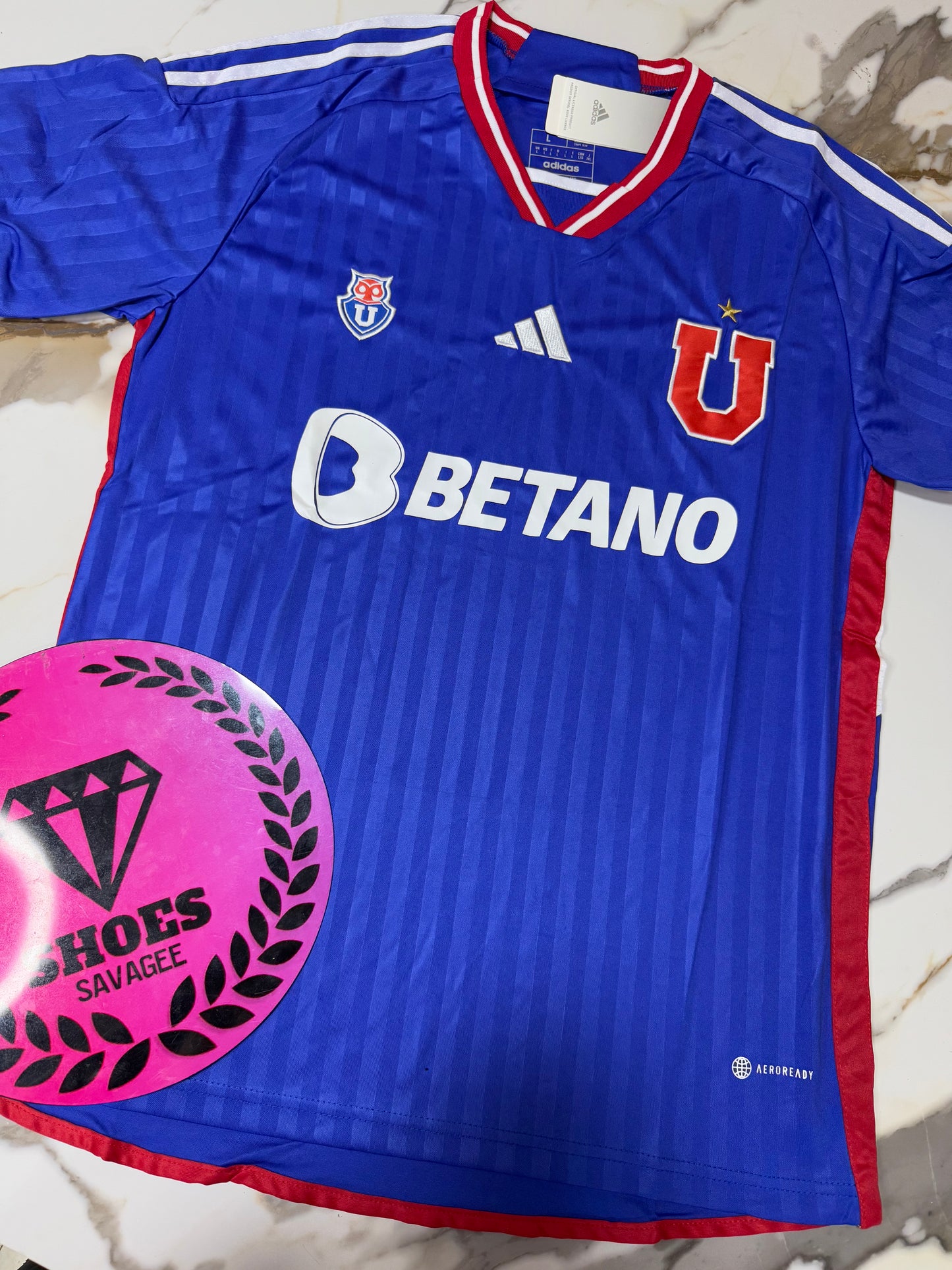 CONJUNTO UNIVERSIDAD DE CHILE