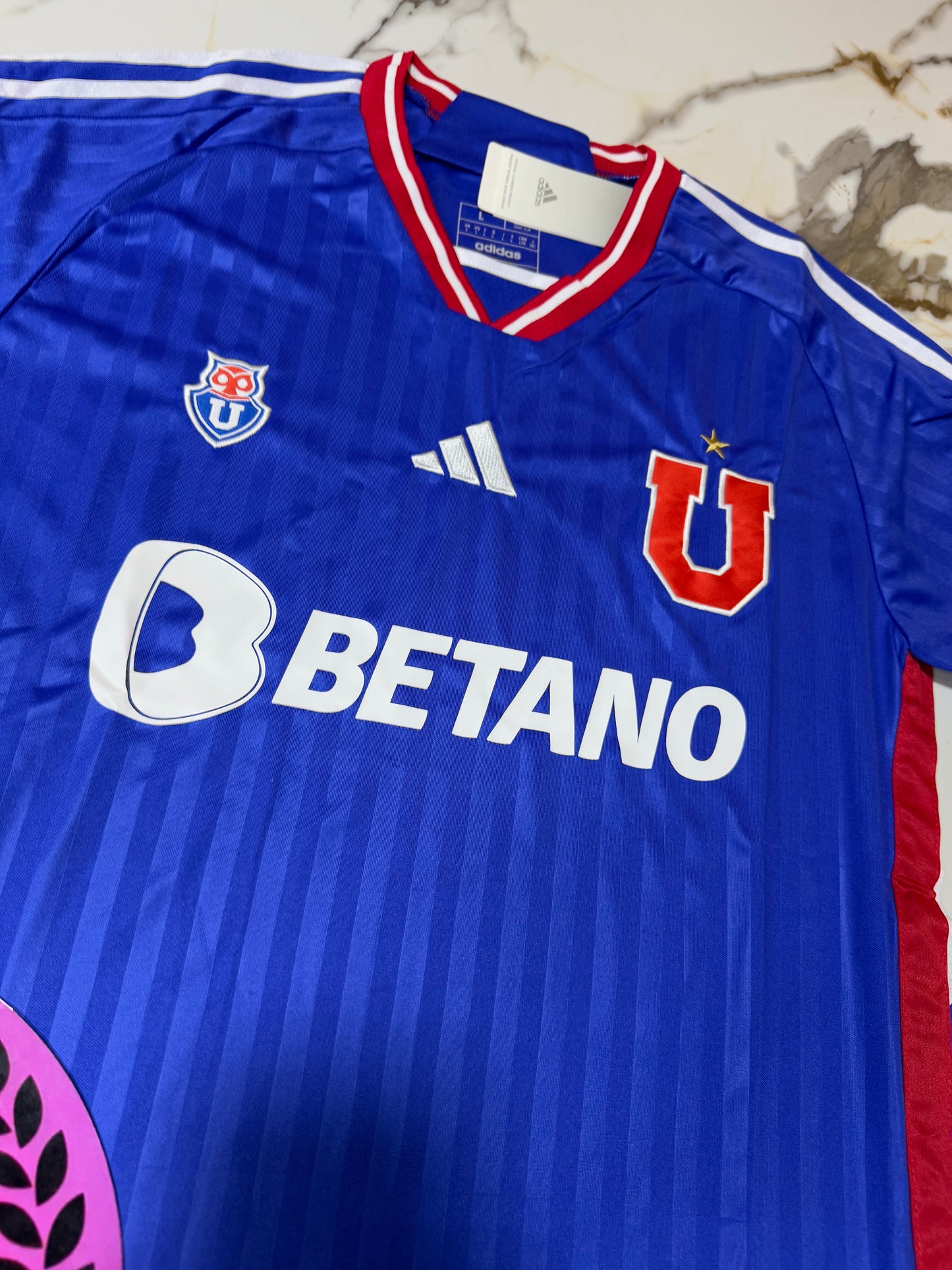 CONJUNTO UNIVERSIDAD DE CHILE