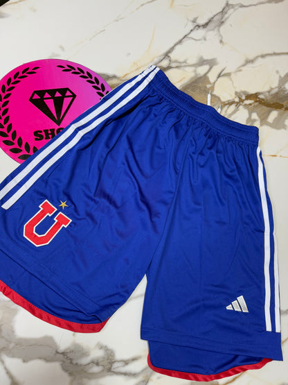 CONJUNTO UNIVERSIDAD DE CHILE