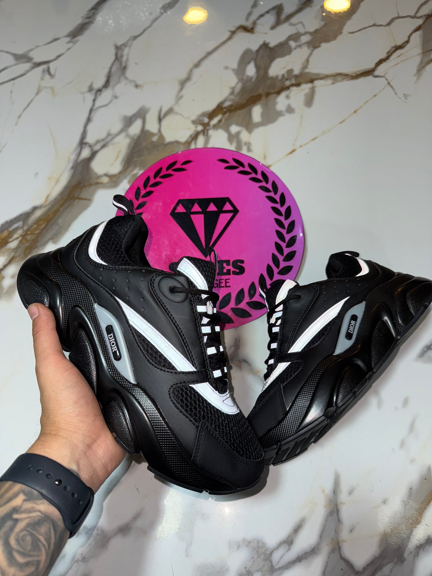 DIOR B22